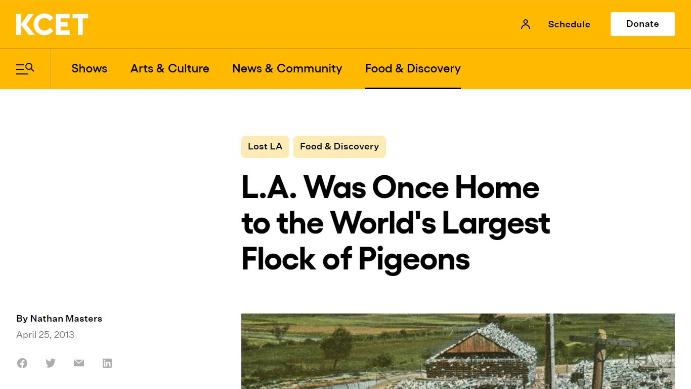 L.A. Was Once Home to the World's Largest Flock of Pigeons